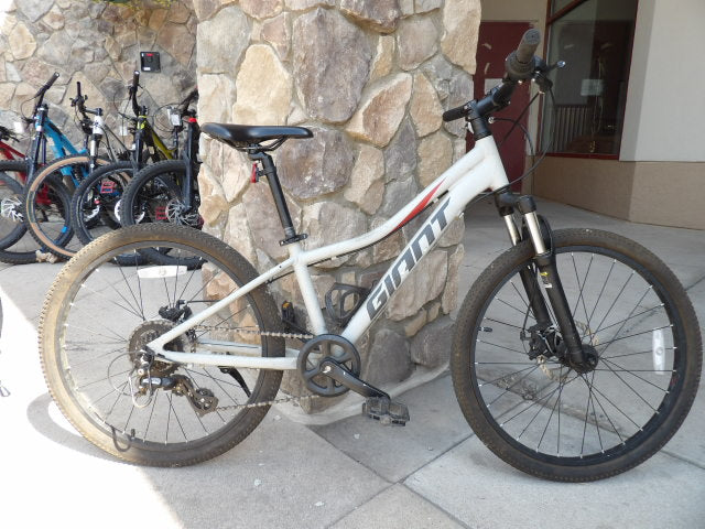 Giant XTC Jr 24" Kid's Bike - Grey