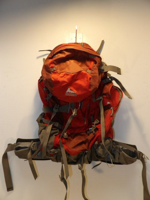 Gregory Baltoor 25L Backpack - Red