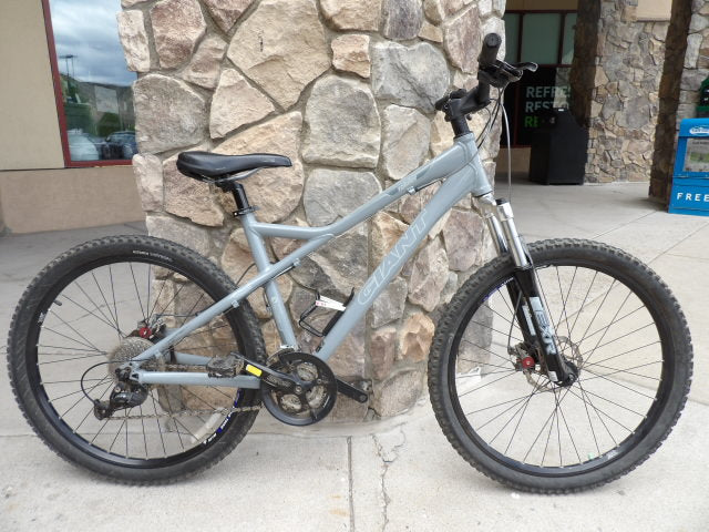 2006 Giant Rainier Size 19" Mountain Bike - Gray