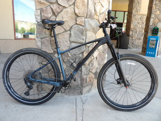 Giant Fantom 29 Size Large Mountain Bike - Blue / Black