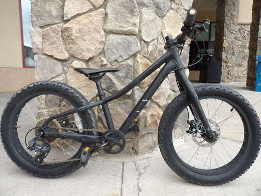 Trek Roscoe 20" Kid's Bike - Black