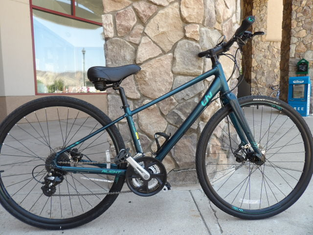 2019 Liv Alight 2 Disc Hybrid Bike - Green
