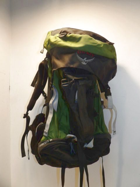 Osprey Size 90L Backpack - Green